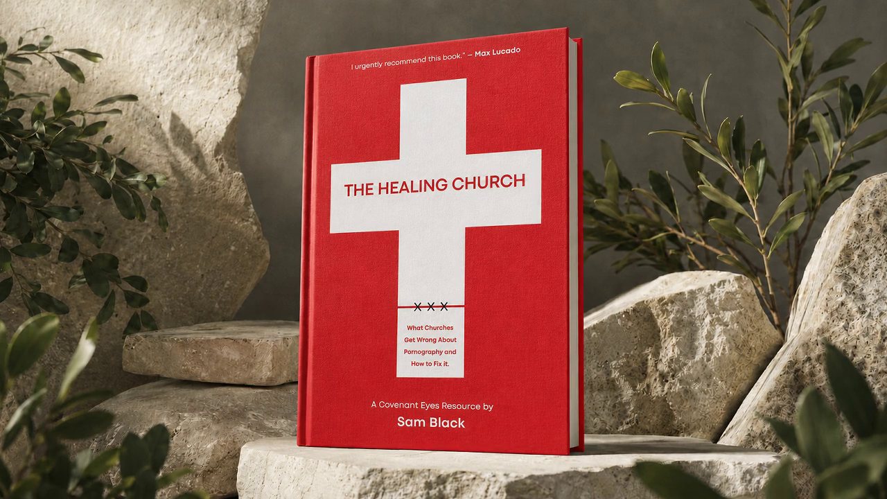 The Healing Church book and campaign.