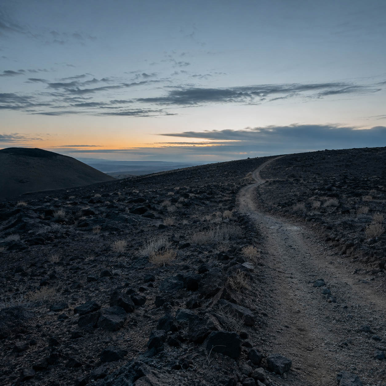 A road in low morning light