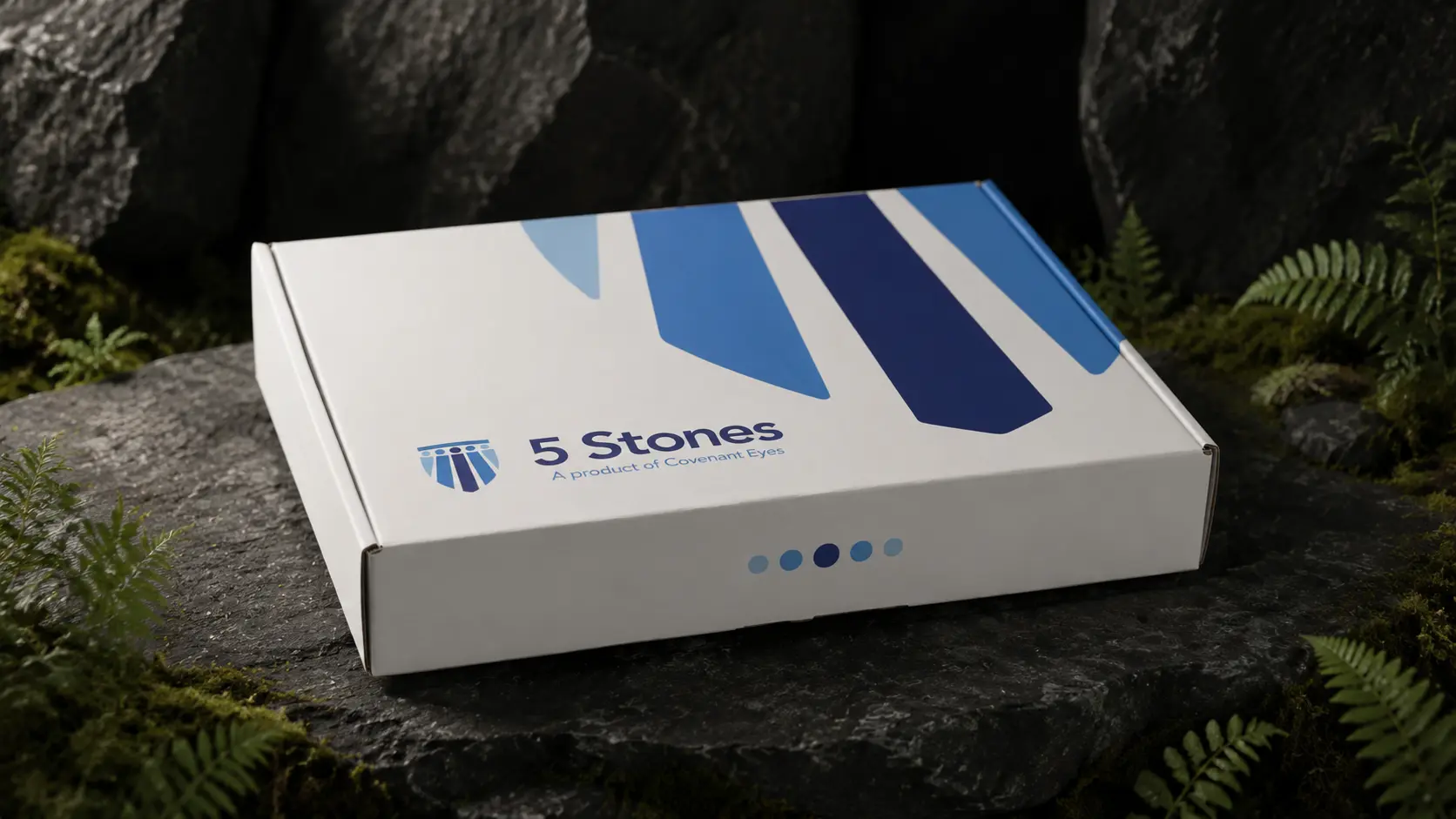 The 5 Stones kit, closed, on a rock among ferns.